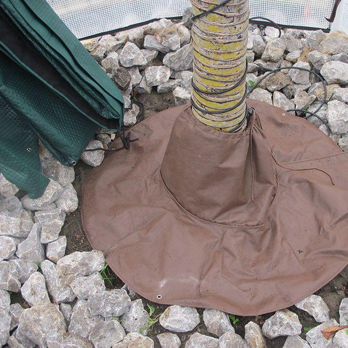 Actual product image Bio Green Palms Root protection