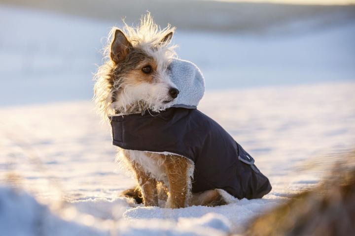Produktbild Kerbl Teddy (27, Hundemantel)