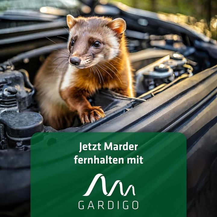 Produktbild Gardigo Marder-Frei Flex