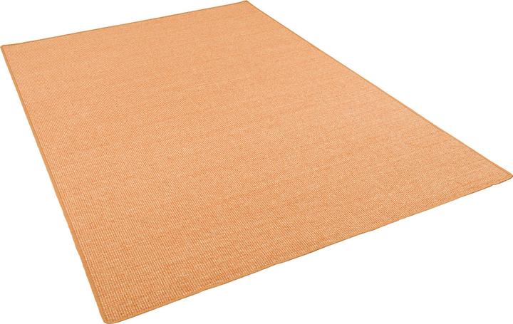 Image du produit Snapstyle Tapis naturel Sisal Classic - 9 couleurs en 17 tailles (160 x 160 cm)
