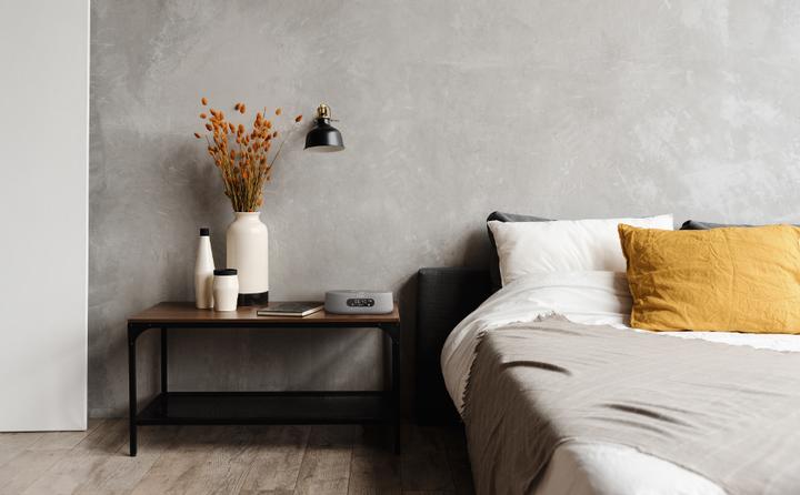 Actual product image Harman/Kardon Citation Oasis (Bluetooth, Wi-Fi)