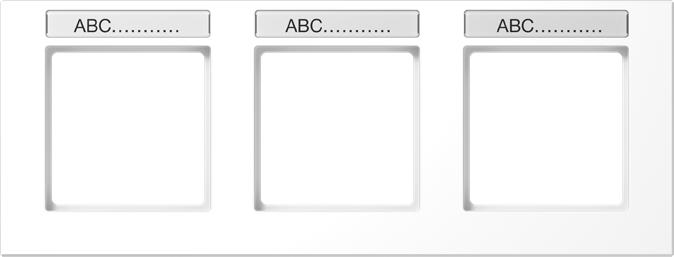 Actual product image JUNG Frame