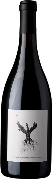 Actual product image Bodegas y Viñedos Alnardo Alnardo S.L. PSI Tinto Cosecha (1 x 75 cl, 2022)