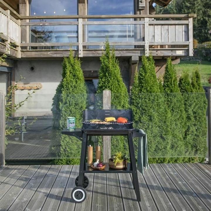 Actual product image Livoo Charcoal barbecue (48.50 cm)