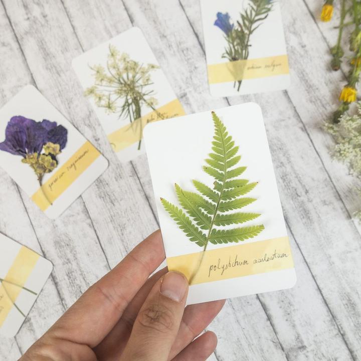 Produktbild Ursus Blanko Spielkarten