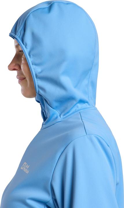 Produktbild Jack Wolfskin Feldberg Hoody W (M)