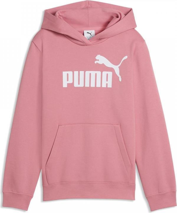 Image du produit Puma Sweat à capuche ESS No. 1 Logo FL G (128)