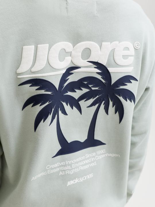 Produktbild Jack & Jones Junior Pullover CLUB SUMMER Sweatshirt (164)