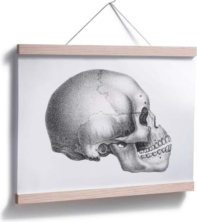 Immagine prodotto Trenddeko Cranio 02 (80 x 60 cm)