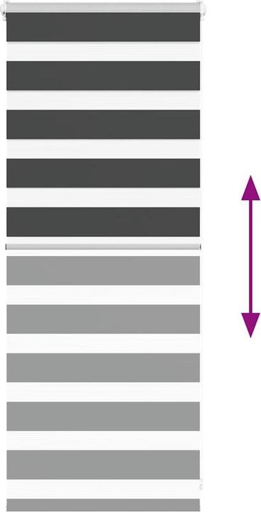 Produktbild vidaXL Zebra-Jalousie (60 x 100 cm)