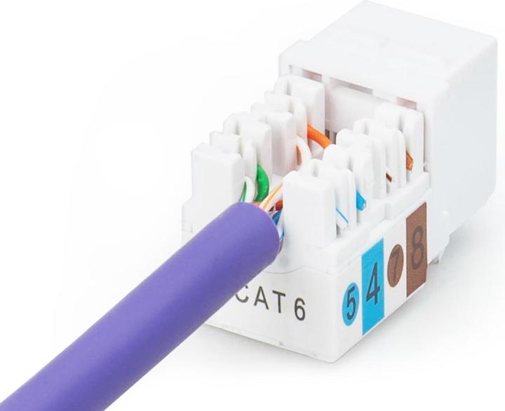 Image du produit Digitus Keystone Module Cat6 RJ45 non blindé Installation du câble via LSA Classe E (Module Keystone)