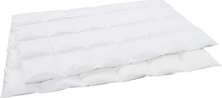 Immagine prodotto Dauny Climaactive Evolution (370 g, Piuma, 210 x 160 cm)