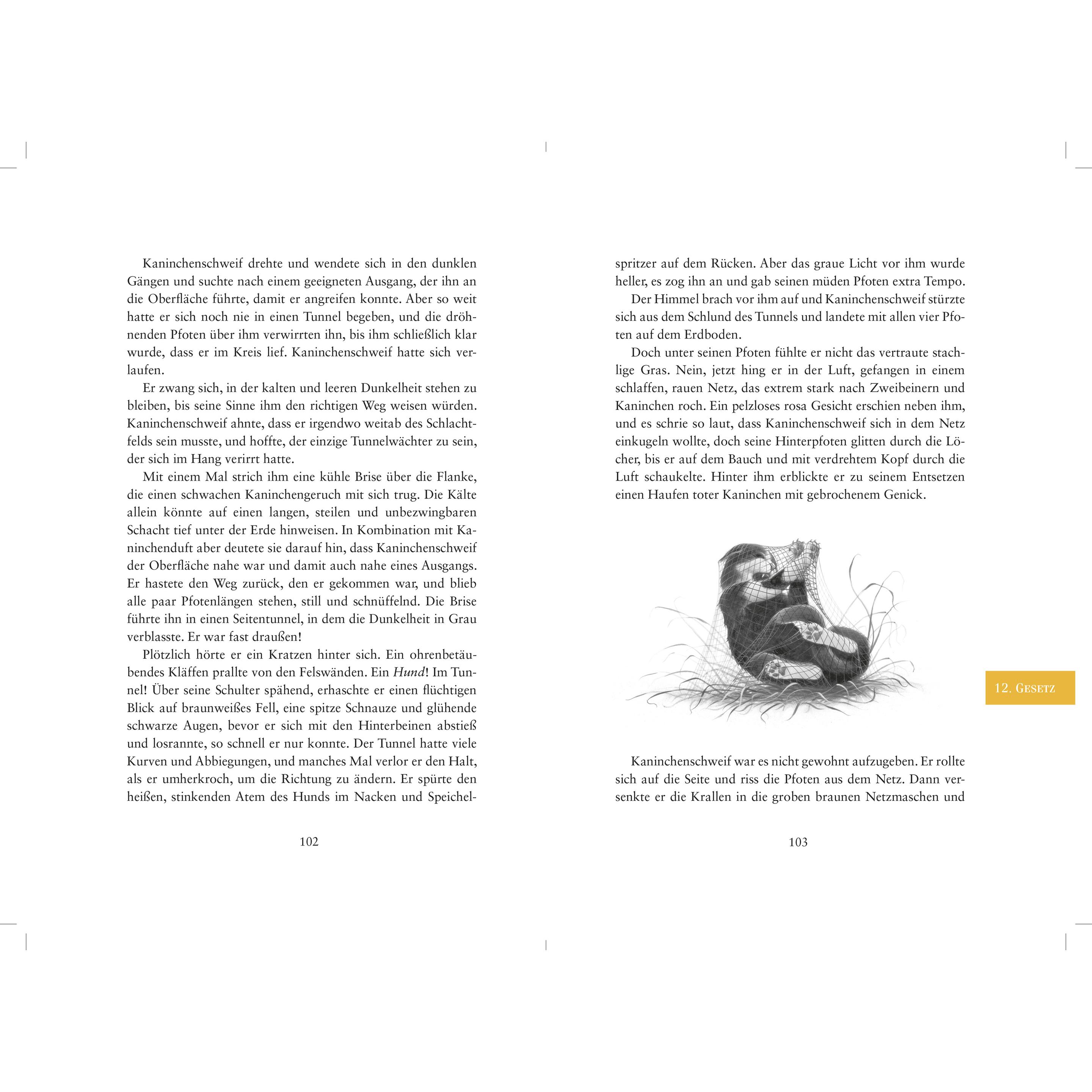 Thumbnail - Warrior Cats - Die Welt der Clans. Das Gesetz der Krieger, Kinderbücher von Erin Hunter