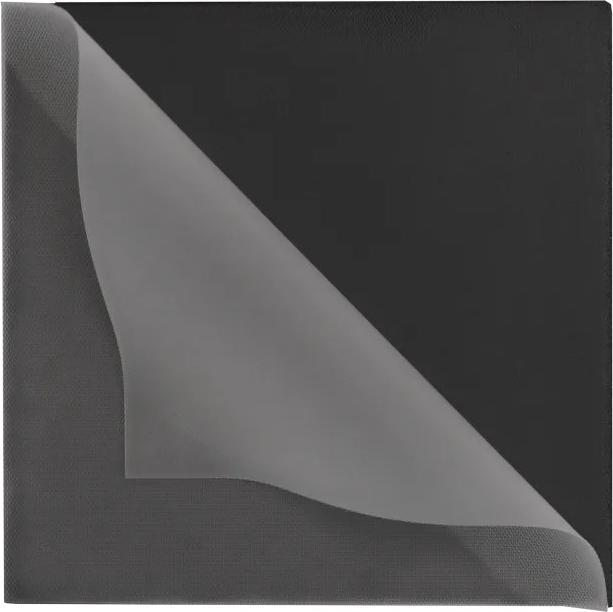 Actual product image Thermal Grizzly TG Minus Pad Extreme V2 - 100x 100x 0,5mm (0.50 mm)