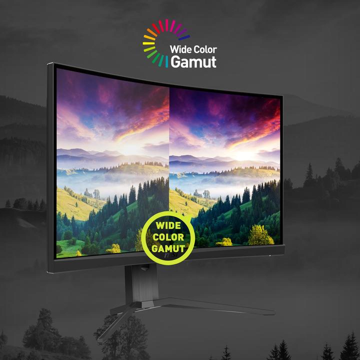 Actual product image MSI MAG 275CQRXFDE (2560 x 1440 pixels, 27")