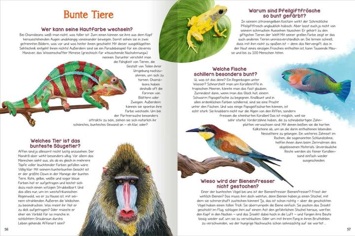 Immagine prodotto Was willst du wissen? Das grosse Fragen- und Antwortenbuch – Tiere (Tedesco, Angelika Huber-Janisch, Kristine Ortmeier, 2023)