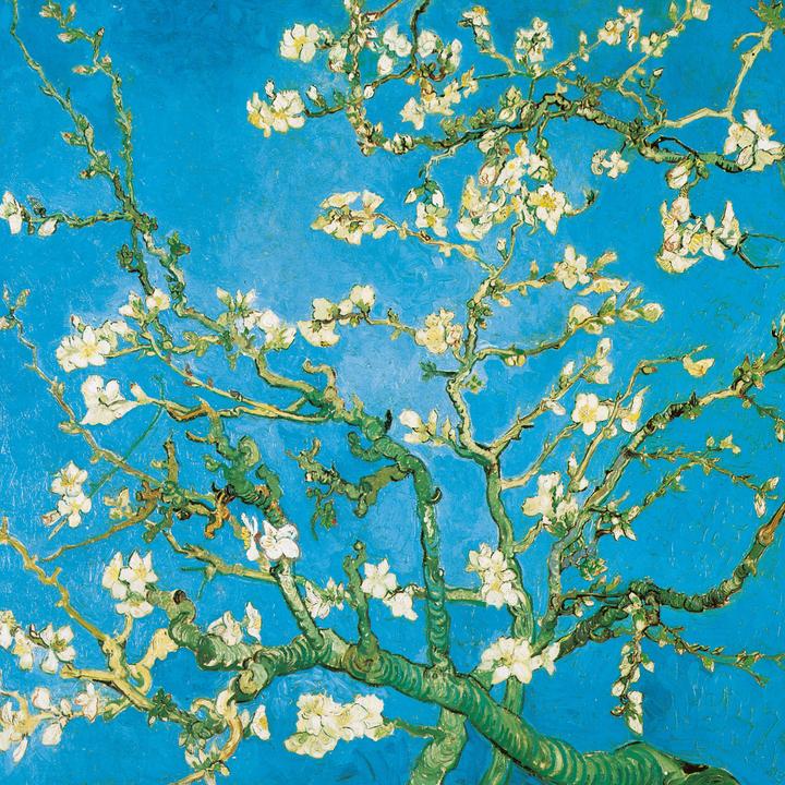 Produktbild Vincent van Gogh 2026 (30 x 30 cm)