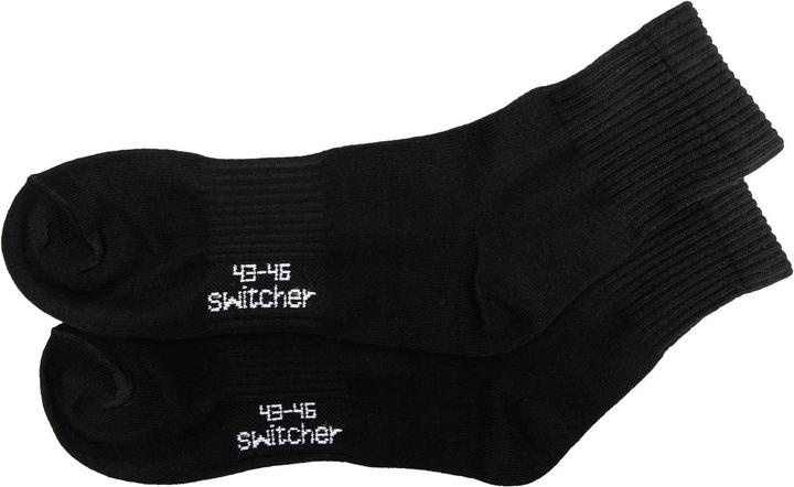 Actual product image Switcher Gym (39, 42)