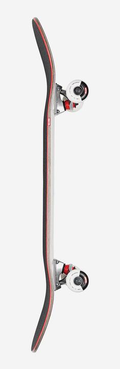 Immagine prodotto Globe G1 Stack Lone Palm (31.63")