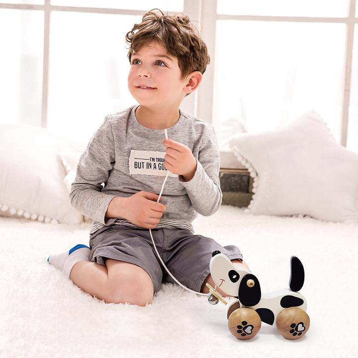 Actual product image Classic World Dog