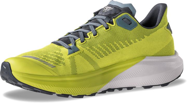 Produktbild Dynafit Trail Running Schuh (39)