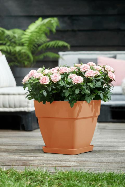 Actual product image Elho Flower box (30 x 29 x 28 cm)