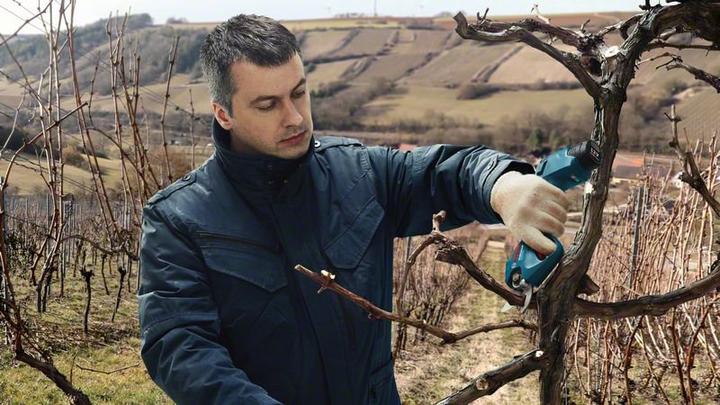 Actual product image Bosch Professional Pro Pruner