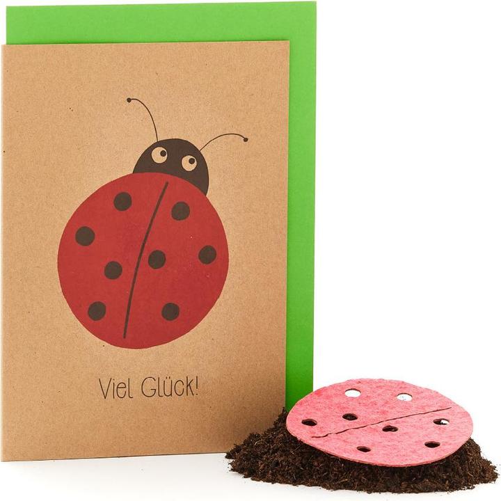 Actual product image Die Stadtgärtner Greeting Card "Good Luck" with Seeds for Flowers