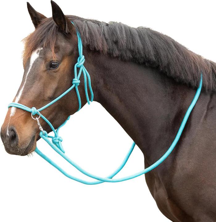 Immagine prodotto Qhp Color