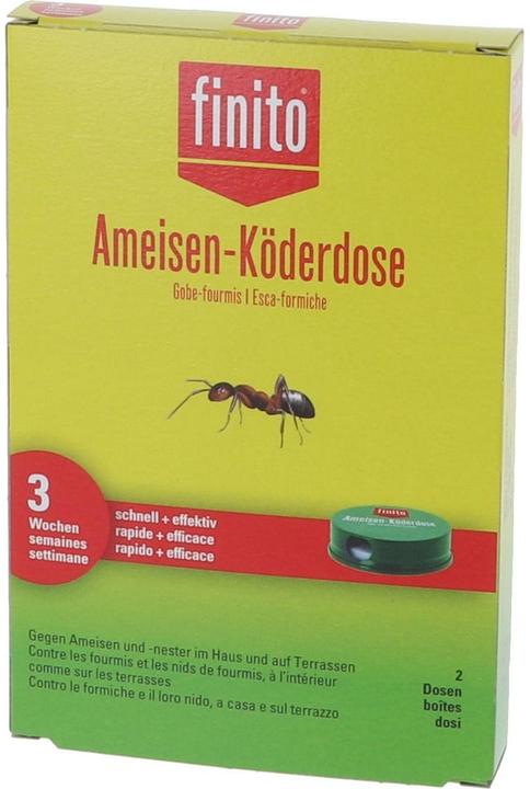 Finito Boîtes à appâts pour fourmis
