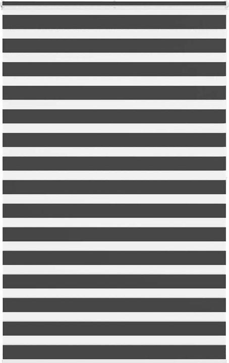 Produktbild vidaXL Zebra-Jalousie (145 x 200 cm)