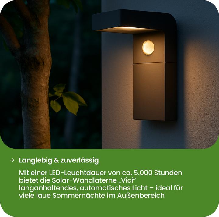Image du produit Star Trading Lanterne murale solaire Vici (300 lm, IP44)