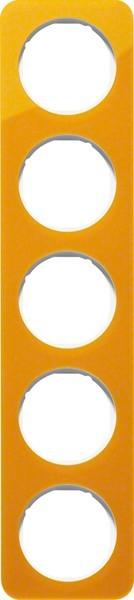 Actual product image Berker Frame 5-fold 10152339