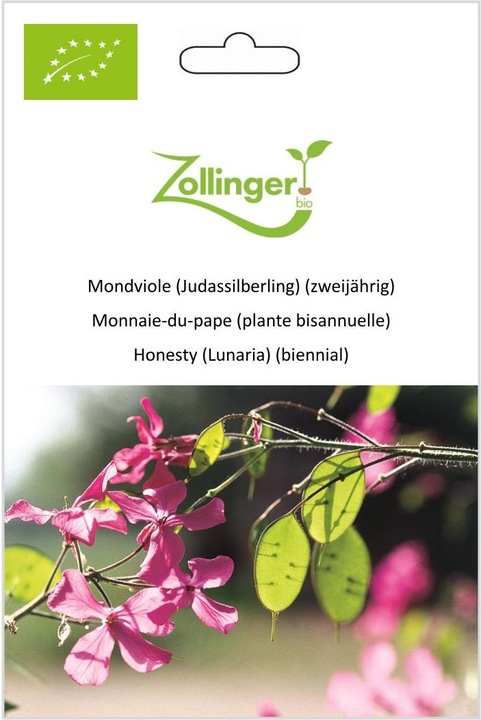 Produktbild Zollinger Bio Mondviole (Judassilberling) (zweijährig) (Blumenzwiebel)