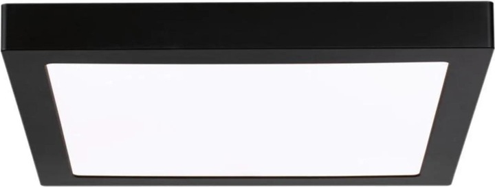 Actual product image Paulmann Abia (2000 lm)