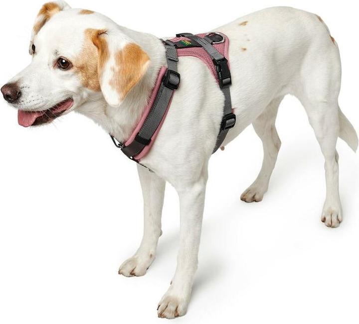 Image du produit Hunter Maldon Up (M, S, Chien, Général)