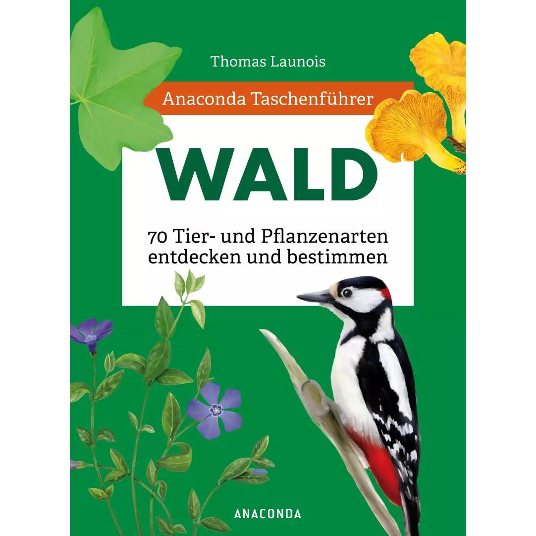 Taschenführer Wald, Ratgeber von Morgane Peyrot, Thomas Launois, Xavier Nitsch, Charles Zettel, Sophie Padié