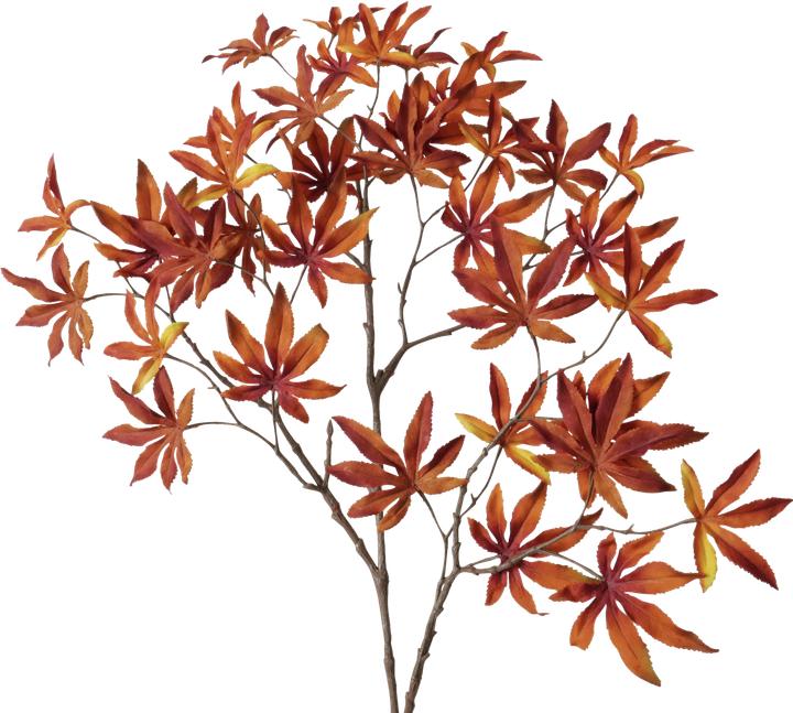 Actual product image Boltze Home Ahorn (4 cm)