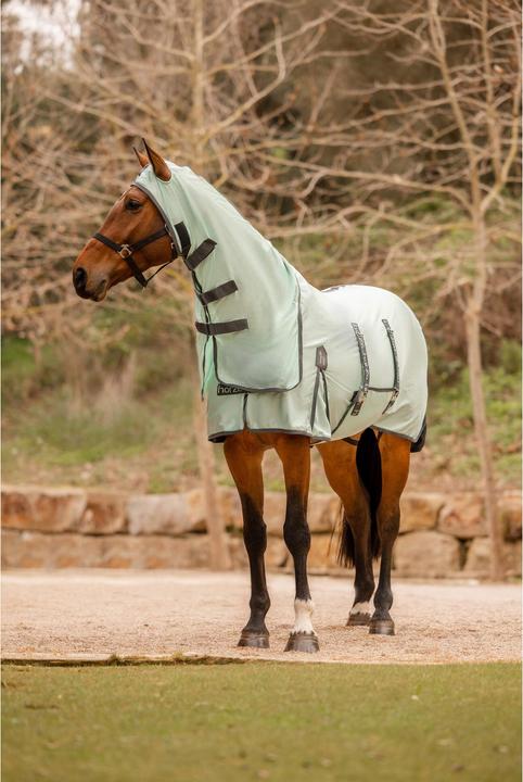 Image du produit Horze Paso Fino (135 cm)