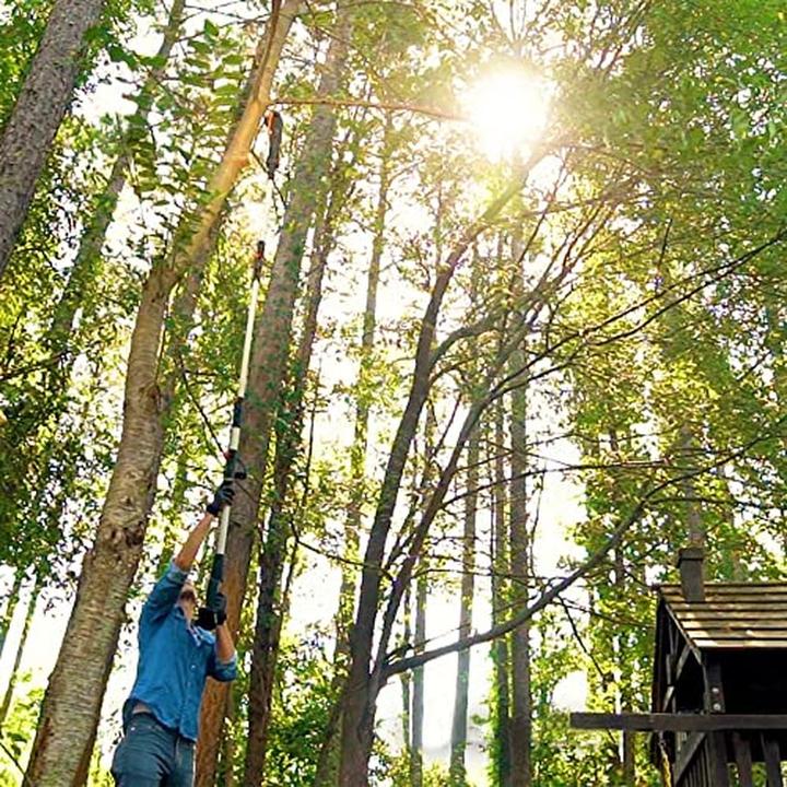 Immagine prodotto Worx Nitro WG325E AkkuAstkettensäge auf Teleskopschaft2Ah 20V (Sega a catena a batteria, Sega a catena elettrica)