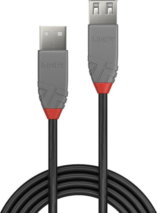 Actual product image Lindy USB/A-USB/A M-F (2 m, USB 2.0)