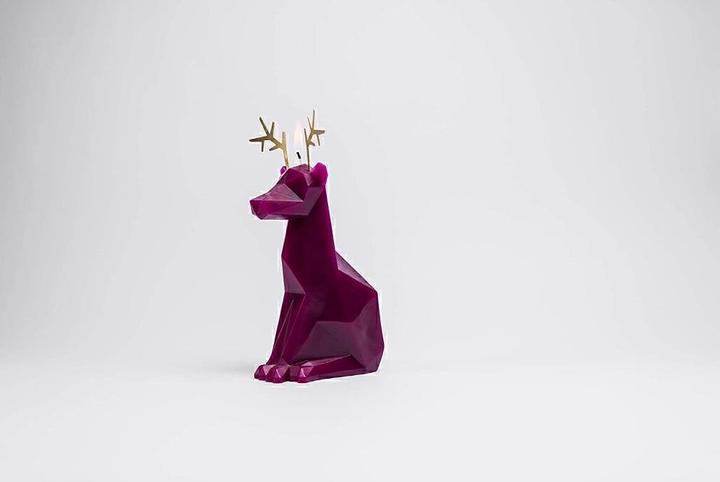 Produktbild 54Celsius PyroPet Dyri