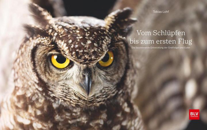 Produktbild Vom Schlüpfen bis zum ersten Flug (Deutsch, Tobias Lohf, 2021)