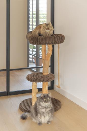 Produktbild Designed by Lotte Kratzmöbel Reya (Braun)