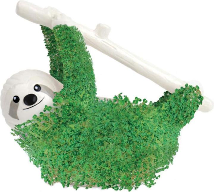 Actual product image TOP Chia sloth