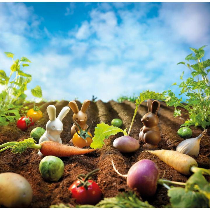 Actual product image Recent Toys Hustle and bustle in the garden (game).SGM510EN (Multilingual)