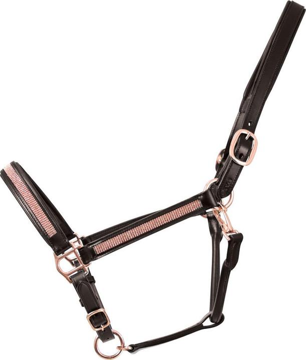 Cavezza Per Puledro In Pelle HY Con Fibbie In Ottone - Regolabile 3 Punti - Ideale Per Uso Quotidiano
