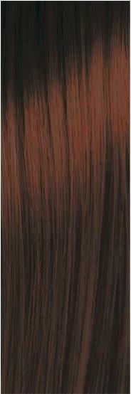 Image du produit pH Argan & Keratin Color (4.3 Auburn)