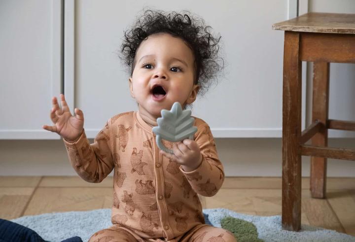 Actual product image Sebra Teething ring natural rubber latex,, leaf, misty mint