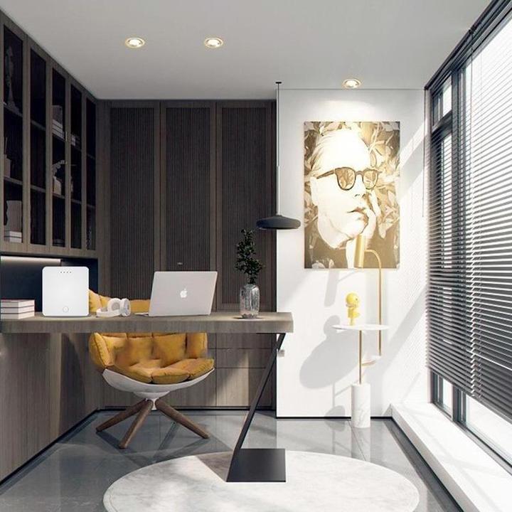 Actual product image Netplus NPLZJMWZG2 - Zigbee LAN Hub